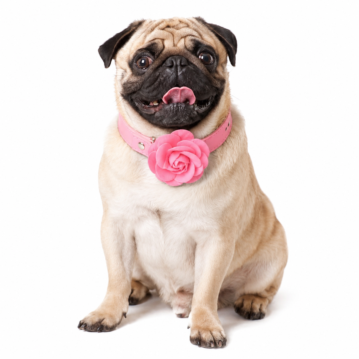 Collar de Flor - Imagen 2