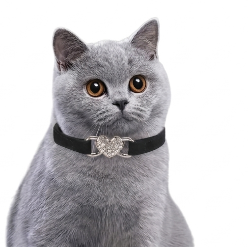 Collar Princesa Cat - Imagen 3